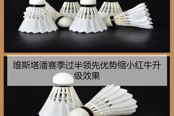 维斯塔潘赛季过半领先优势缩小红牛升级效果