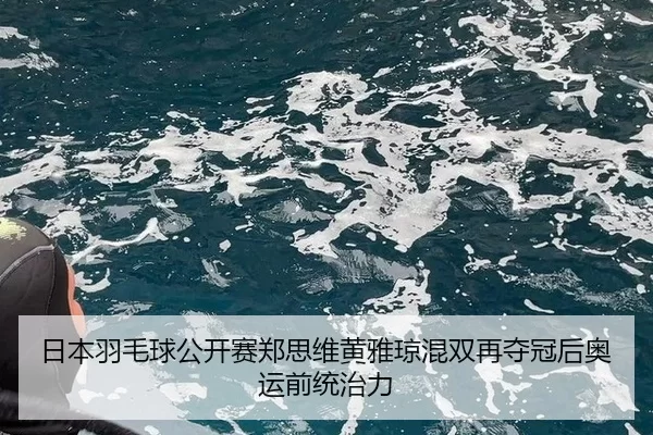 日本羽毛球公开赛郑思维黄雅琼混双再夺冠后奥运前统治力