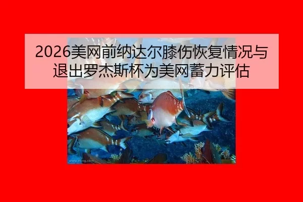 mei-wang-qian-na-da-er-xi-shang-hui-fu-qing-kuang-yu-tui-chu-luo-jie-si-bei-wei-mei-wang-xu-li-ping-gu-2-620.jpg